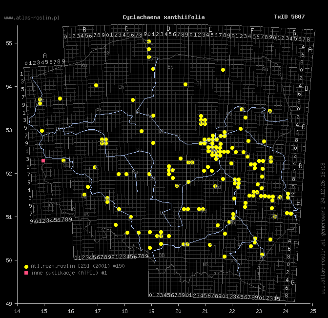 wystepowanie - Cyclachaena xanthiifolia (iwa rzepieniolistna)
