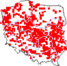 wystepowanie - Xanthium strumarium (rzepień pospolity)