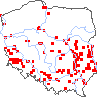 wystepowanie - Xanthium spinosum (rzepień kolczasty)