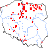 wystepowanie - Alisma gramineum (żabieniec trawolistny)