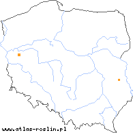 wystepowanie - Caldesia parnassifolia (kaldezja dziewięciornikowata)