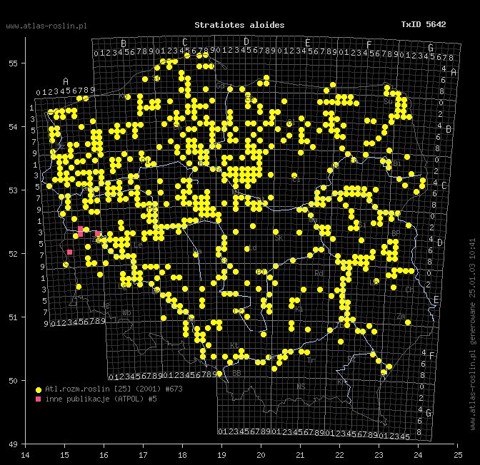 wystepowanie - Stratiotes aloides (osoka aloesowata)