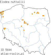 wystepowanie - Elodea nuttallii (moczarka delikatna)