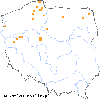 wystepowanie - Stuckenia filiformis (stuckenia nitkowata)