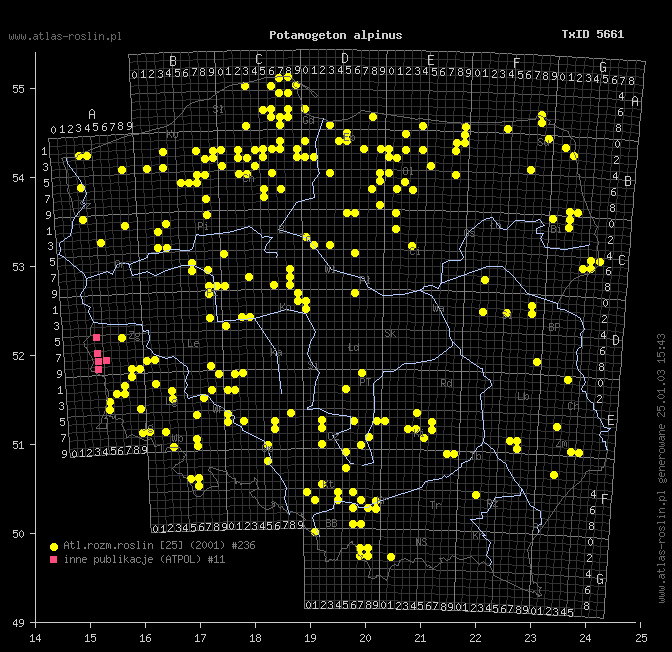 wystepowanie - Potamogeton alpinus (rdestnica alpejska)