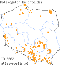 wystepowanie - Potamogeton berchtoldii (rdestnica Berchtolda)