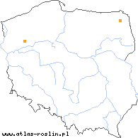 wystepowanie - Potamogeton ×assidens (rdestnica bezogonkowa)