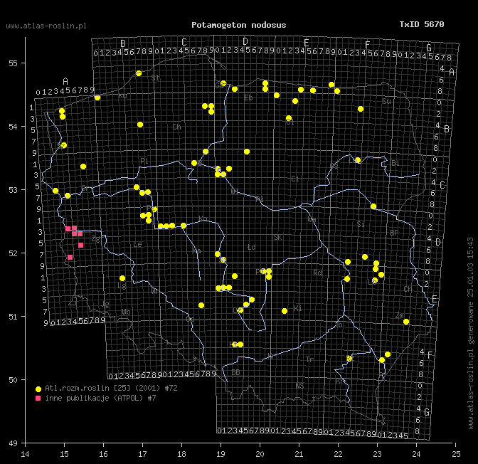 wystepowanie - Potamogeton nodosus (rdestnica nawodna)
