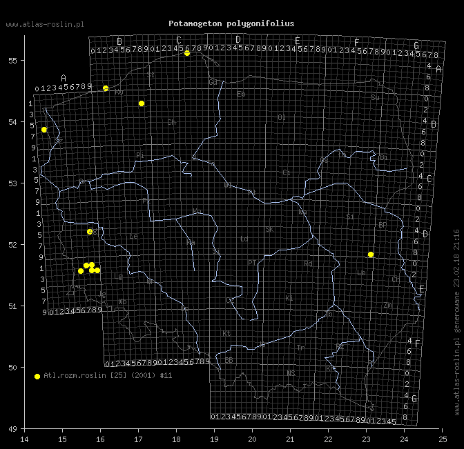 wystepowanie - Potamogeton polygonifolius (rdestnica podługowata)