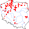 wystepowanie - Potamogeton praelongus (rdestnica wydłużona)