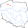 wystepowanie - Groenlandia densa (rdestniczka gęsta)