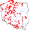 wystepowanie - Zannichellia palustris (zamętnica błotna)