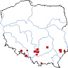 wystepowanie - Fumaria rostellata (dymnica szerokodziałkowa)