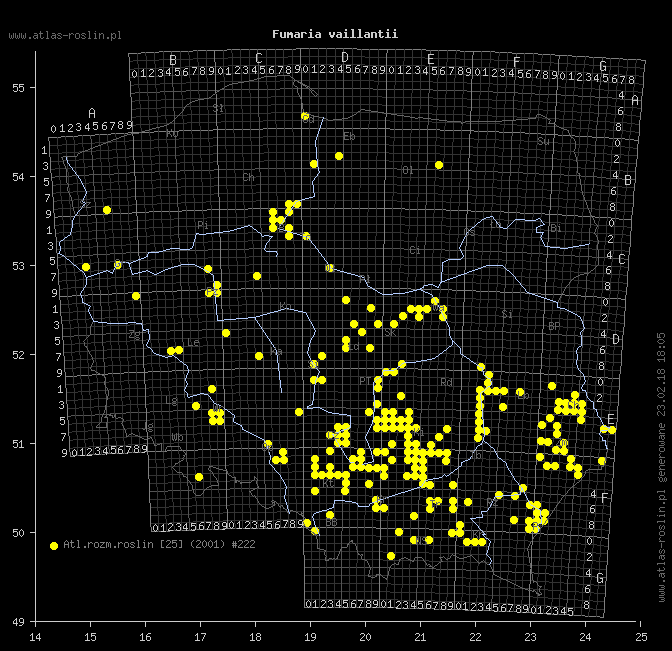 wystepowanie - Fumaria vaillantii (dymnica drobnokwiatowa)