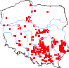 wystepowanie - Fumaria vaillantii (dymnica drobnokwiatowa)