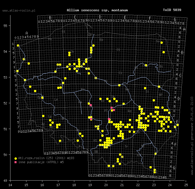 wystepowanie - Allium senescens ssp. montanum (czosnek skalny)
