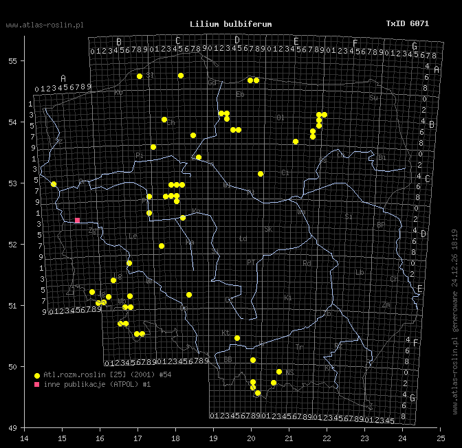 wystepowanie - Lilium bulbiferum (lilia bulwkowata)
