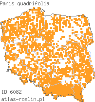 wystepowanie - Paris quadrifolia (czworolist pospolity)