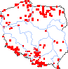 wystepowanie - Corallorhiza trifida (żłobik koralowy)