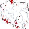 wystepowanie - Epipogium aphyllum (storzan bezlistny)