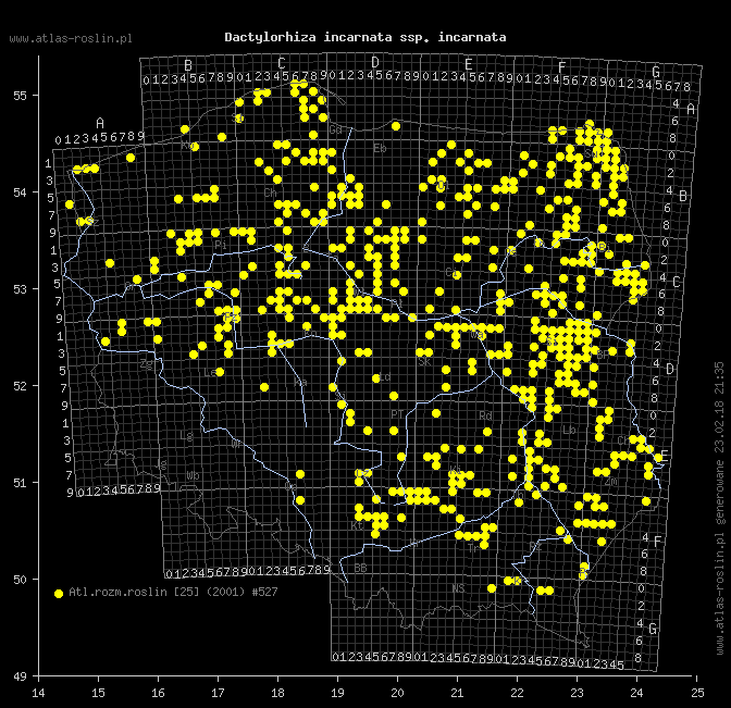 wystepowanie - Dactylorhiza incarnata ssp. incarnata (kukułka krwista typowa)