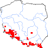 wystepowanie - Dactylorhiza sambucina (kukułka bzowa)