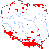 wystepowanie - Orchis mascula (storczyk męski)