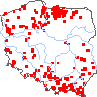 wystepowanie - Orchis morio (storczyk samczy)