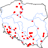 wystepowanie - Orchis ustulata (storczyk drobnokwiatowy)