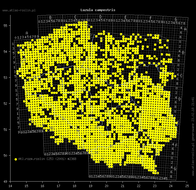 wystepowanie - Luzula campestris (kosmatka polna)