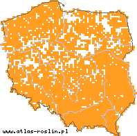 wystepowanie - Luzula pilosa (kosmatka owłosiona)