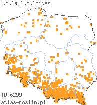 wystepowanie - Luzula luzuloides (kosmatka gajowa)