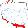 wystepowanie - Luzula sylvatica (kosmatka olbrzymia)