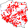 wystepowanie - Luzula pallescens (kosmatka blada)