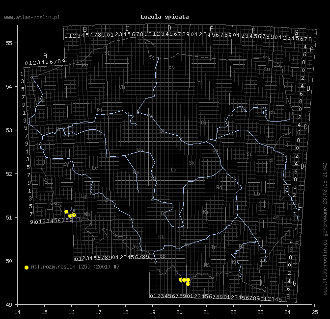 wystepowanie - Luzula spicata (kosmatka kłosowa)