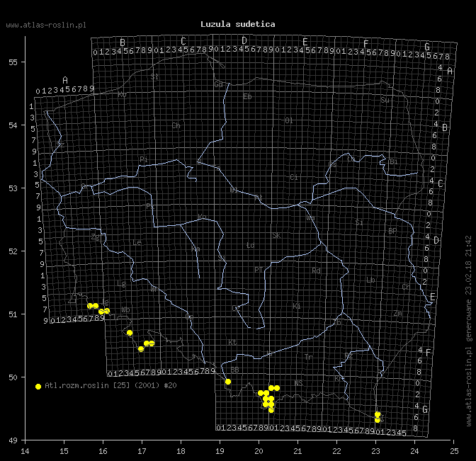 wystepowanie - Luzula sudetica (kosmatka sudecka)
