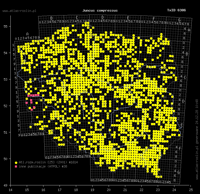wystepowanie - Juncus compressus (sit ścieśniony)