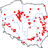 wystepowanie - Juncus atratus (sit czarny)