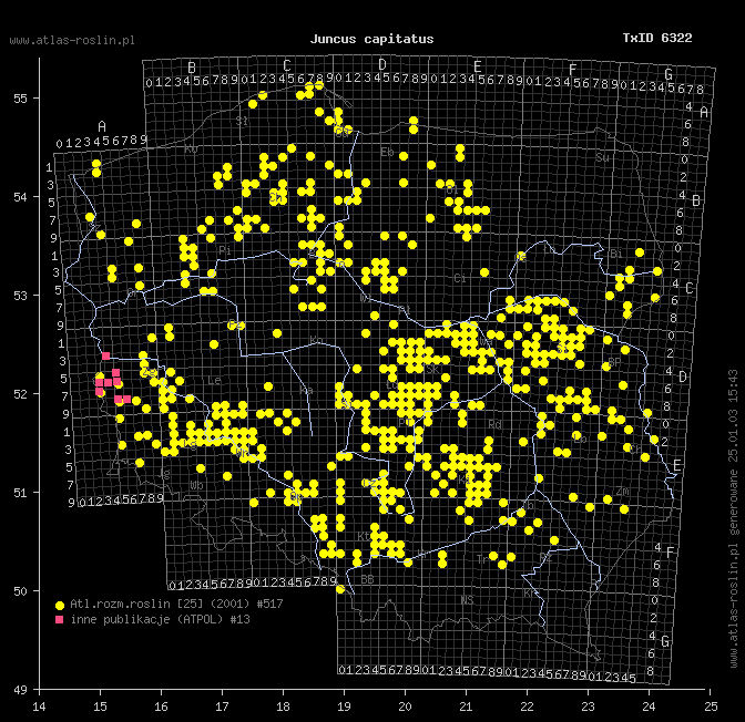 wystepowanie - Juncus capitatus (sit główkowaty)