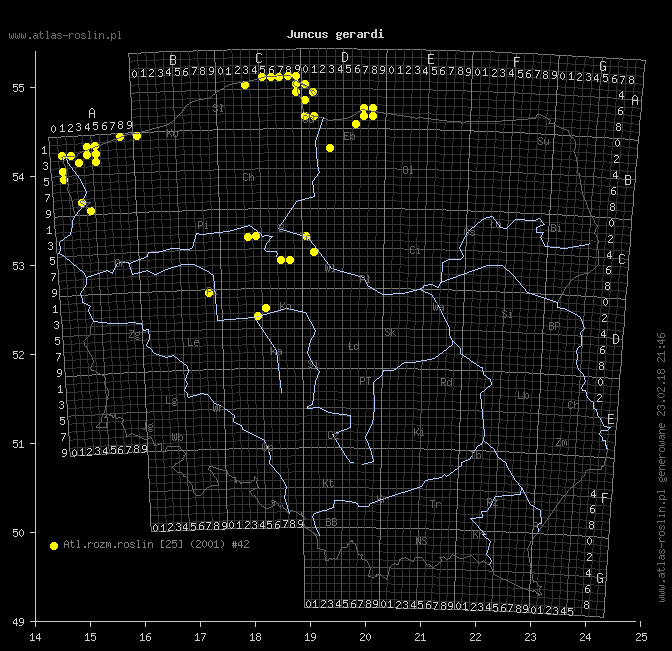 wystepowanie - Juncus gerardi (sit Gerarda)