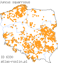 wystepowanie - Juncus squarrosus (sit sztywny)