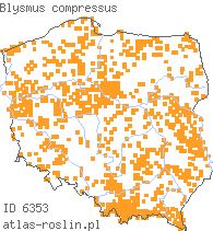 wystepowanie - Blysmus compressus (ostrzew spłaszczony)