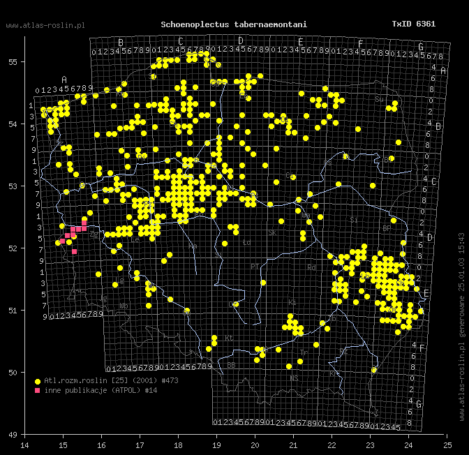 wystepowanie - Schoenoplectus tabernaemontani (oczeret Tabernaemontanusa)