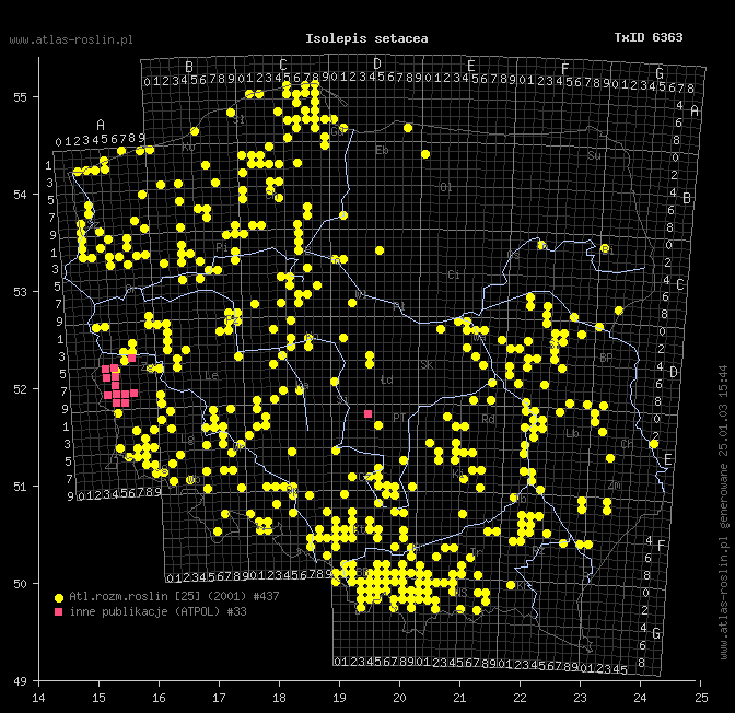 wystepowanie - Isolepis setacea (sitniczka szczecinowata)
