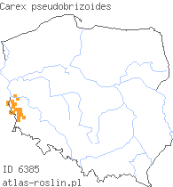 wystepowanie - Carex pseudobrizoides (turzyca Reichenbacha)