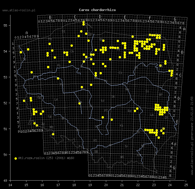 wystepowanie - Carex chordorrhiza (turzyca strunowa)
