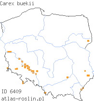 wystepowanie - Carex buekii (turzyca Bueka)