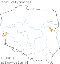 wystepowanie - Carex ×elytroides