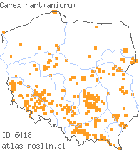 wystepowanie - Carex hartmaniorum (turzyca Hartmana)