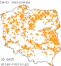 wystepowanie - Carex lasiocarpa (turzyca nitkowata)